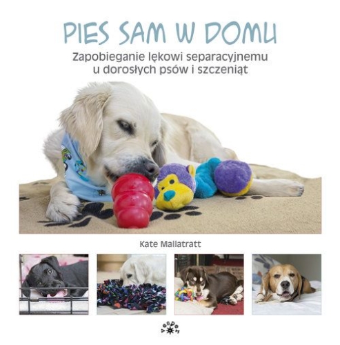 Pies sam w domu.jpg