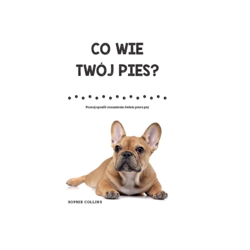 Co-wie-twoj-pies.jpg