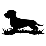 Nalepka - jamnik szorstkowłosy (02)