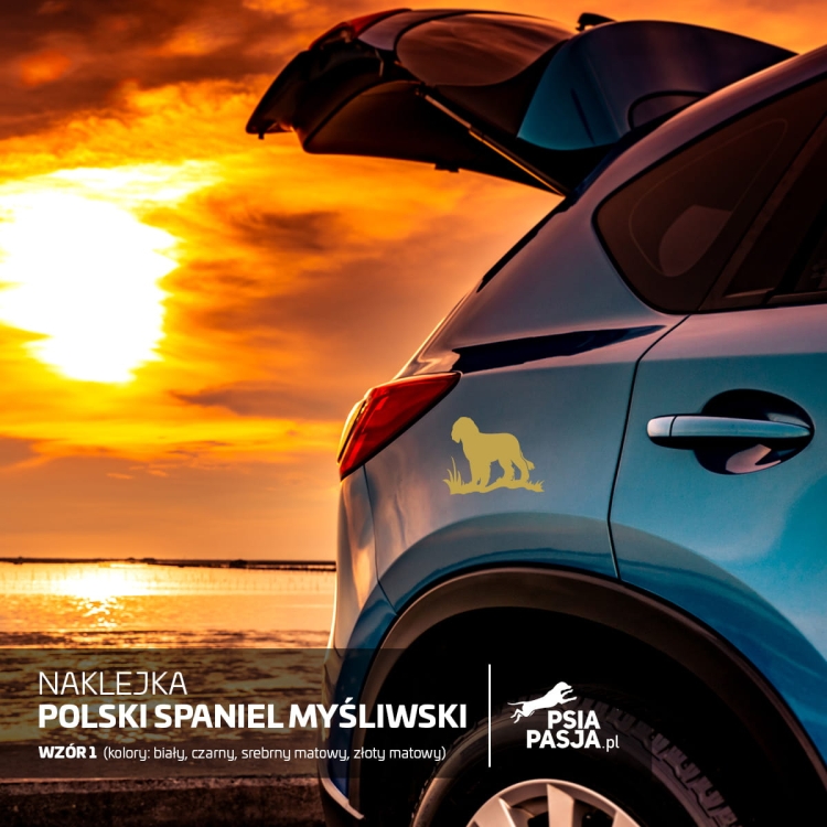 Nalepka POLSKI SPANIEL MYŚLIWSKI (01)
