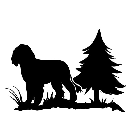 Naklejka: POLSKI SPANIEL MYŚLIWSKI (03)