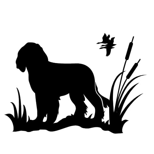 Naklejka: POLSKI SPANIEL MYŚLIWSKI (04).jpg