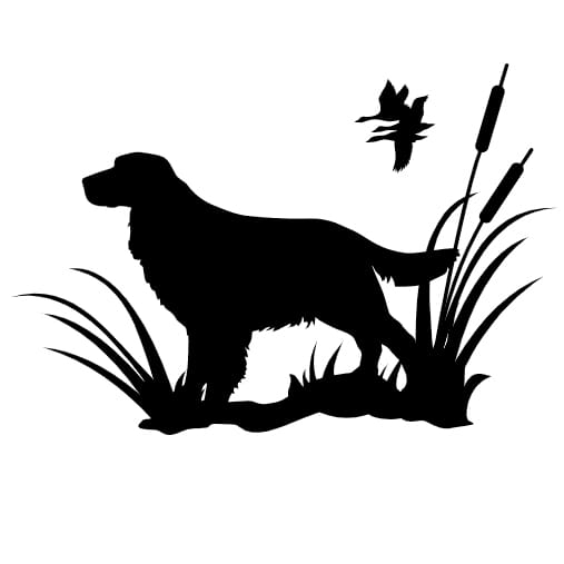 Naklejka: SPRINGER SPANIEL (02)