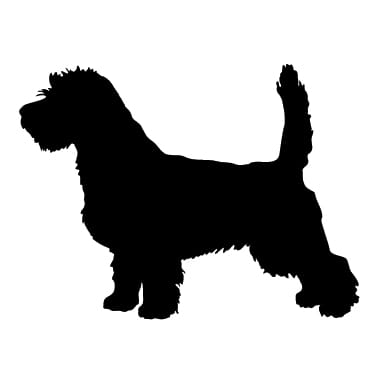 Naklejka: PETIT BASSET GRIFFON VENDEEN (01)