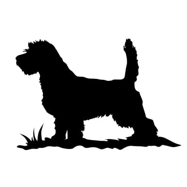Naklejka: PETIT BASSET GRIFFON VENDEEN (02)