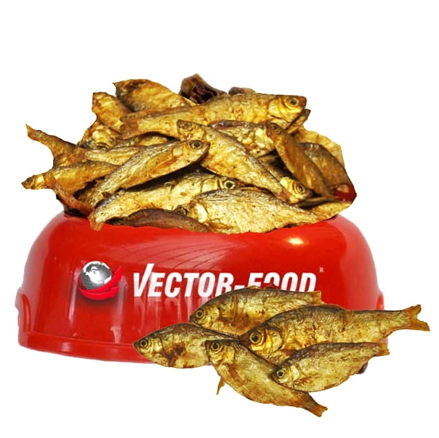 Suszona rybka (Sardinella)
