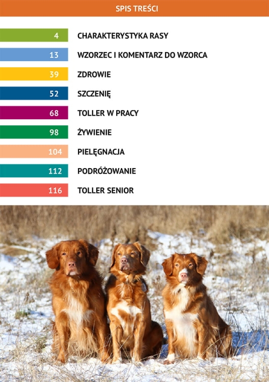 NOVA SCOTIA DUCK TOLLING RETRIEVER - spis treści