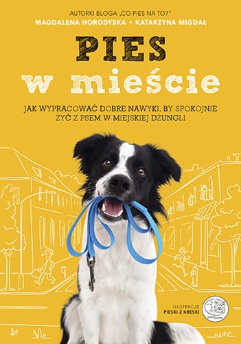 pies-w-miescie-jak-wypracowac-dobre-nawyki-by-spokojnie-zyc-z-psem-w-miejskiej-dzungli.jpg