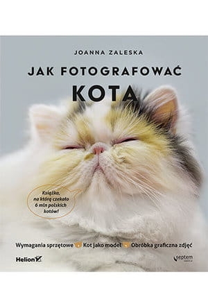jak-fotografowac-kota.jpg
