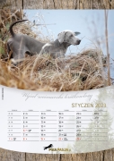 PsiaPasja_kalendarz_2023_A3_screen2.jpg