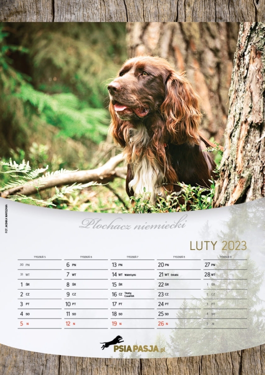 PsiaPasja_kalendarz_2023_A3_screen3.jpg