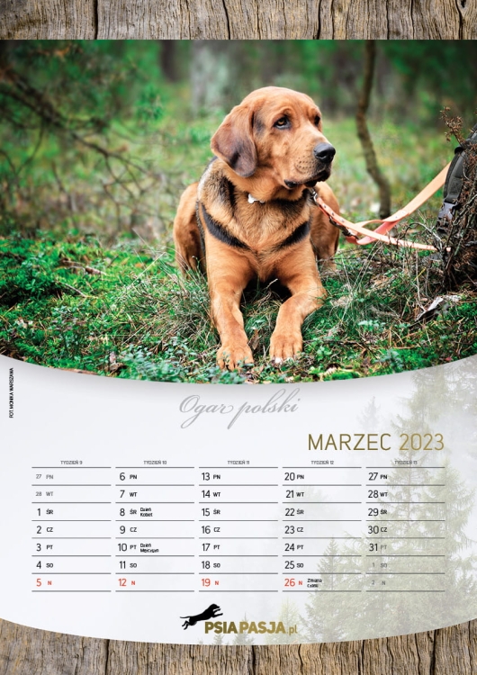 PsiaPasja_kalendarz_2023_A3_screen4.jpg