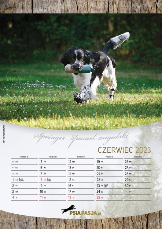 PsiaPasja_kalendarz_2023_A3_screen7.jpg