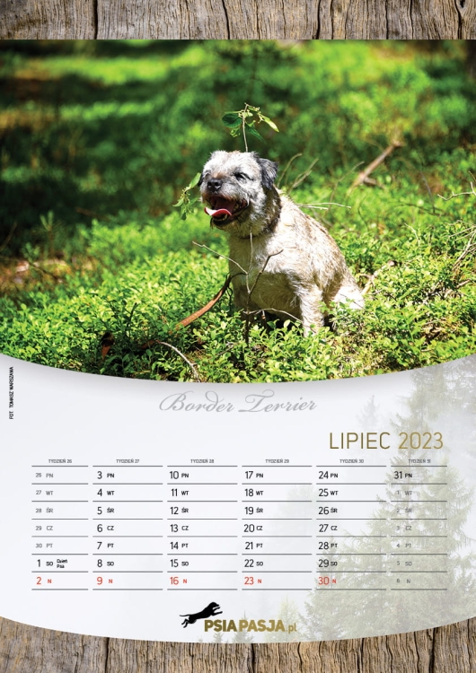 PsiaPasja_kalendarz_2023_A3_screen8.jpg