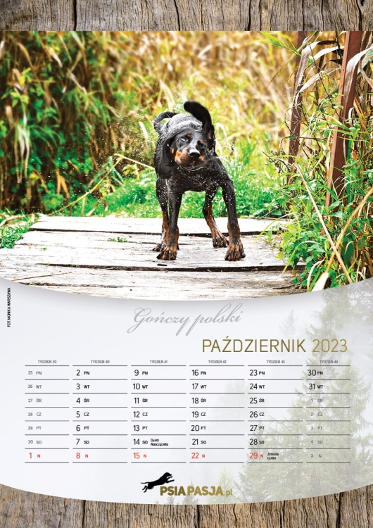 PsiaPasja_kalendarz_2023_A3_screen11.jpg