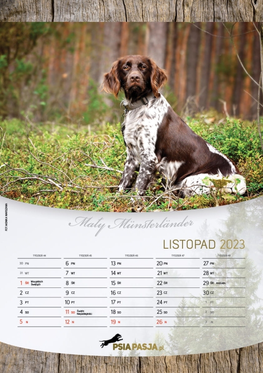 PsiaPasja_kalendarz_2023_A3_screen12.jpg