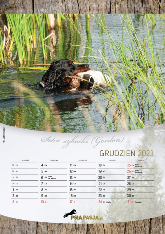 PsiaPasja_kalendarz_2023_A3_screen13.jpg