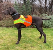 Mystique-kamizelka-na-psa.jpg