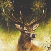 serwetki-jelen-proud-deer-13312340.webp