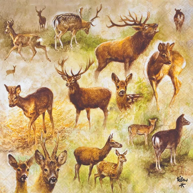 serwetki-zwierzyna-plowa-13317770.webp