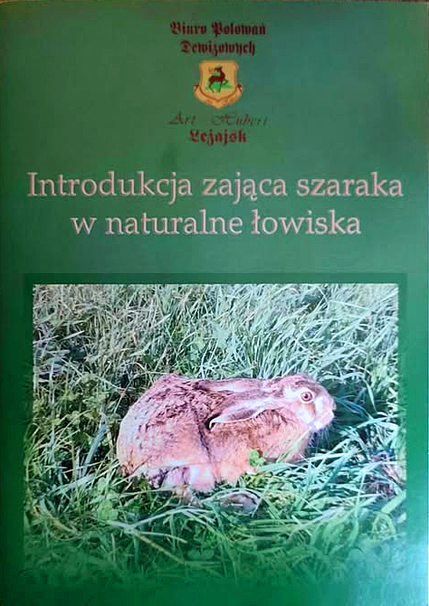 Introdukcja-zajaca-szaraka.jpg