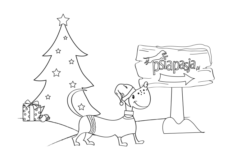 PsiaPasja_kolorowanka_Gwiazdka_1.jpg